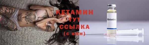 крисы Новокубанск