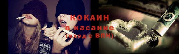 крисы Новокубанск