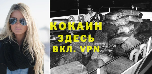 крисы Новокубанск