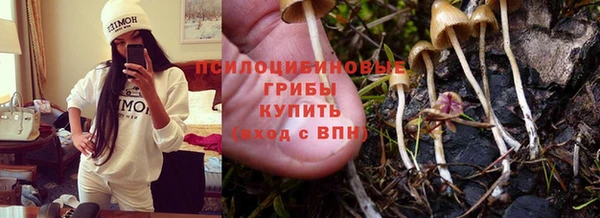 марихуана Новодвинск